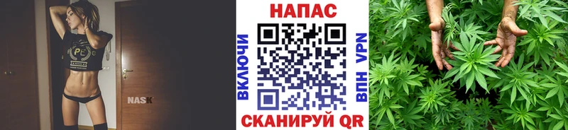 Что такое Кологрив А ПВП  Псилоцибиновые грибы  МЕТАМФЕТАМИН  Бошки Шишки 